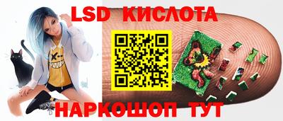 прущие грибы Северобайкальск