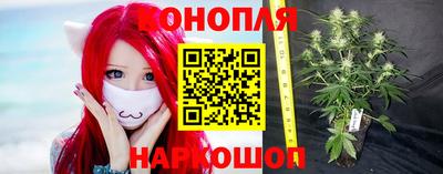 спиды Свободный